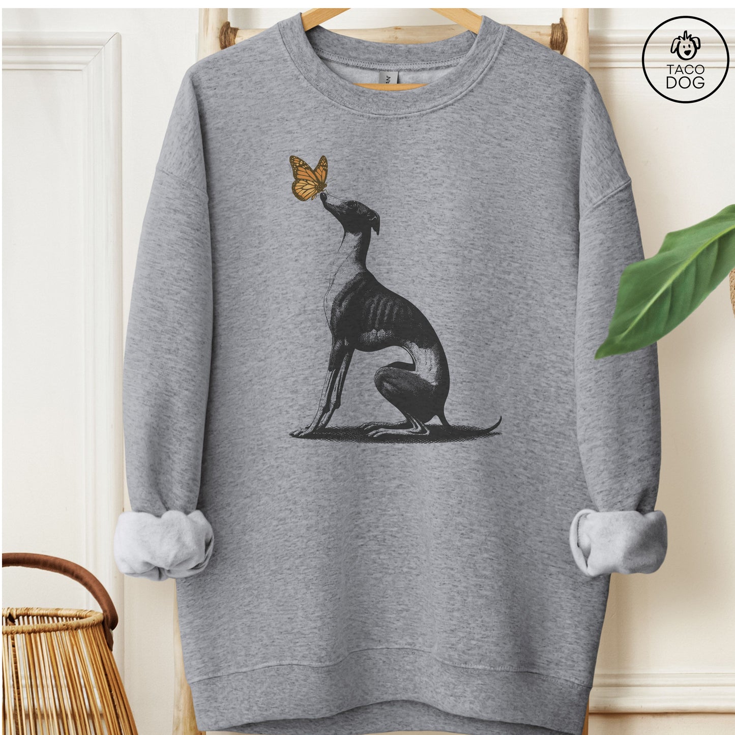 Italian Greyhound Whippet Iggy Butterfly Sweatshirt Graphite Heather Taco-Dog
