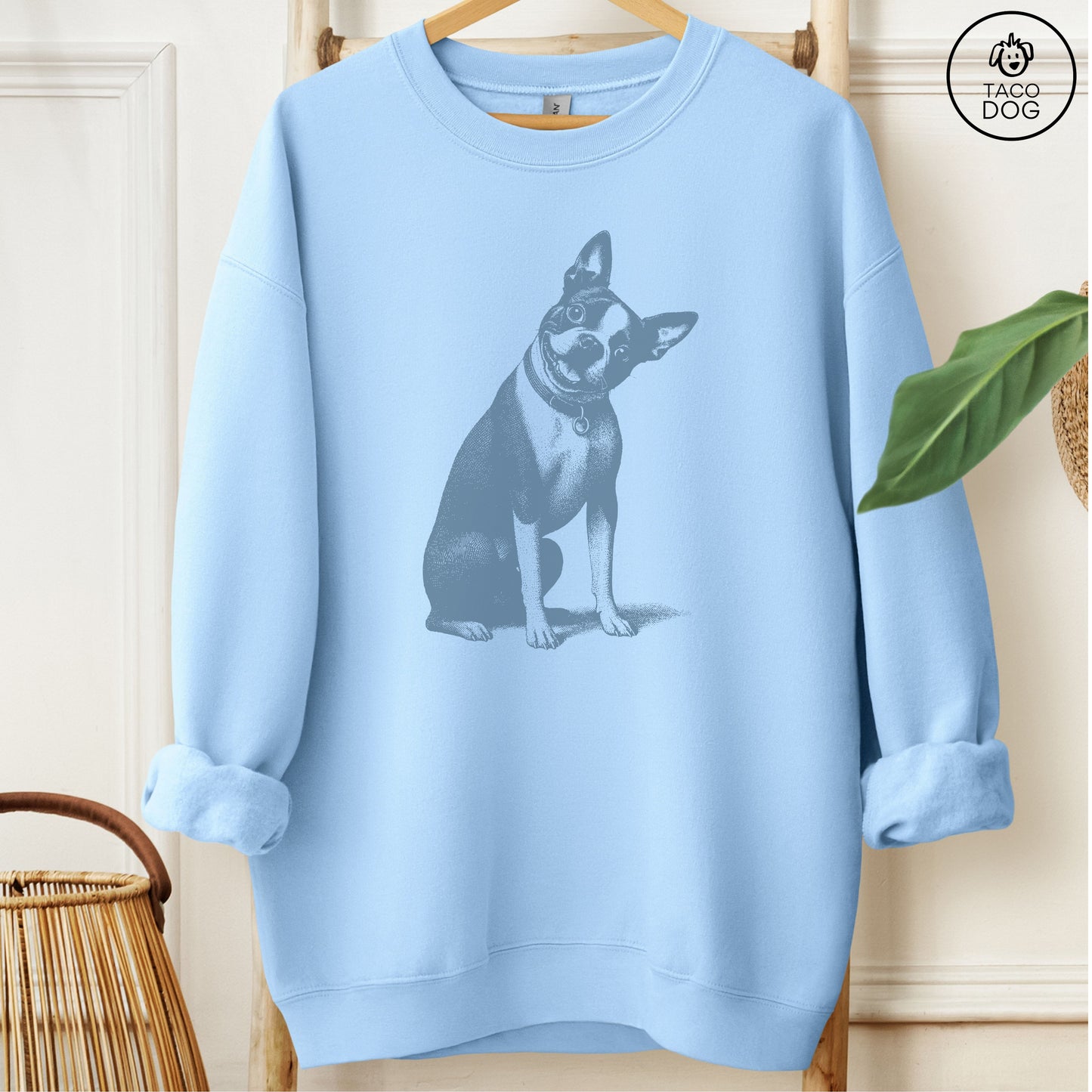 Boston Terrier Say What? Sweatshirt Light Blue Taco-Dog