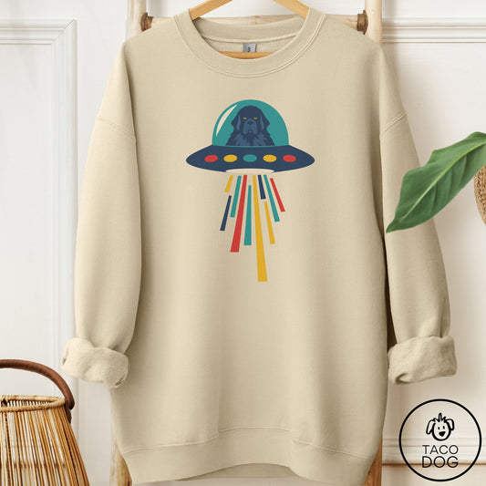 Newfoundland UFO Joyride Sweatshirt Sand Taco-Dog