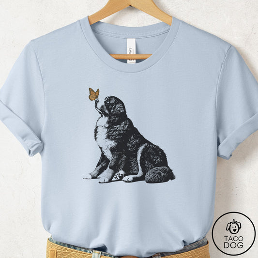 Bernese Mountain Dog Butterfly T-Shirt Light Blue Taco-Dog