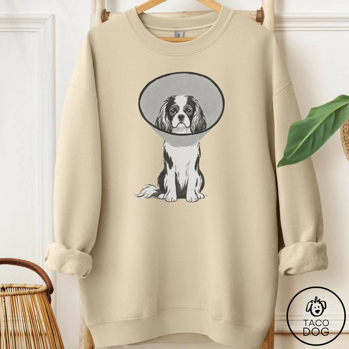 Cavalier King Charles Spaniel Cone Sweatshirt Sand Taco-Dog