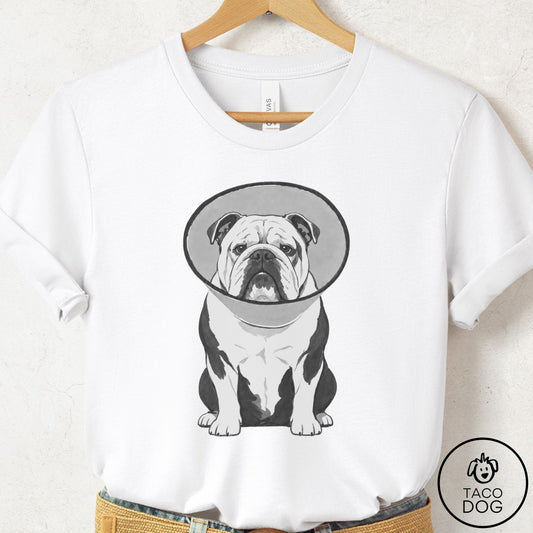 English Bulldog Cone T-Shirt White Taco-Dog