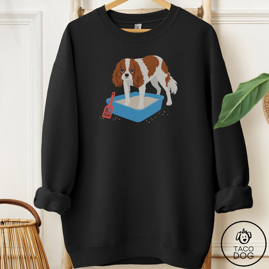 Cavalier King Charles Spaniel Litter Box Sweatshirt Black Taco-Dog