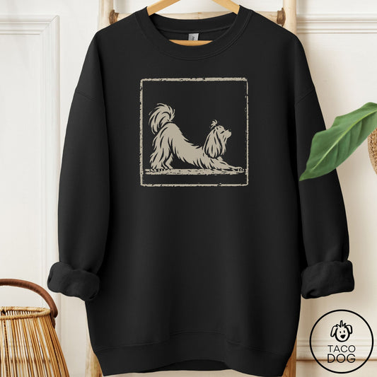 Maltese Morning Stretch Sweatshirt Black Taco-Dog