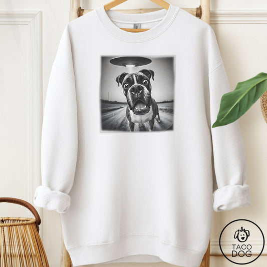 Boxer Selfie Sweatshirt White Taco-Dog