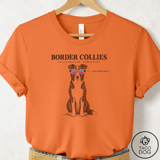 Border Collie Sunglasses Field Guide T-Shirt Burnt Orange Taco-Dog