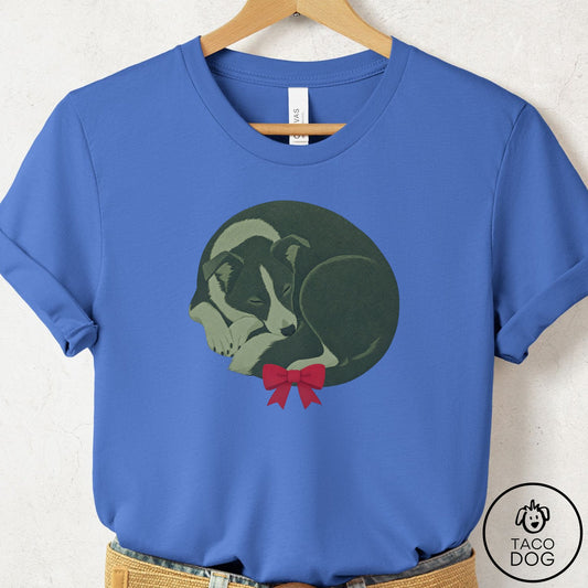 Border Collie Wreath T-Shirt Columbia Blue Taco-Dog