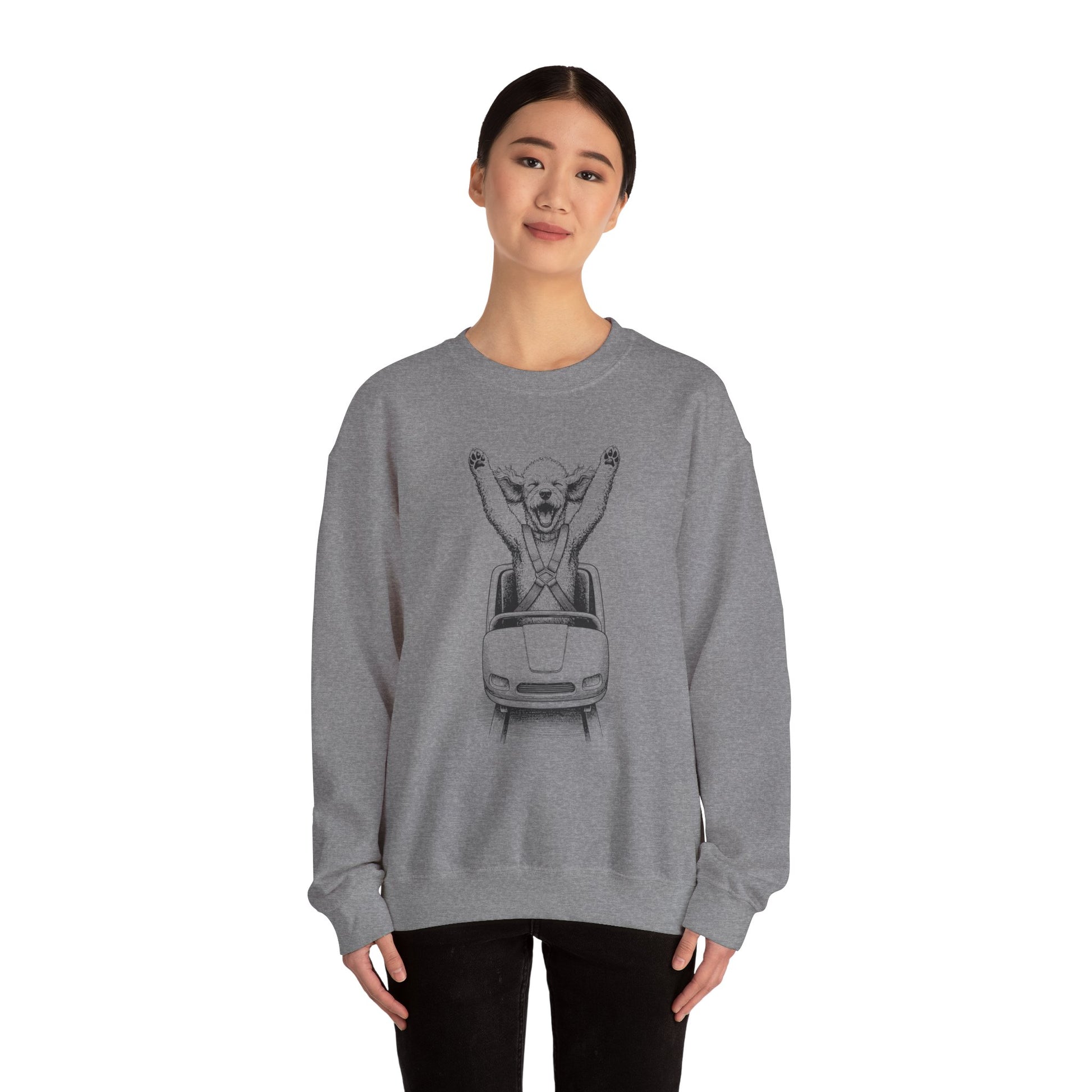 Poodle Roller Coaster Sweatshirt Taco-Dog