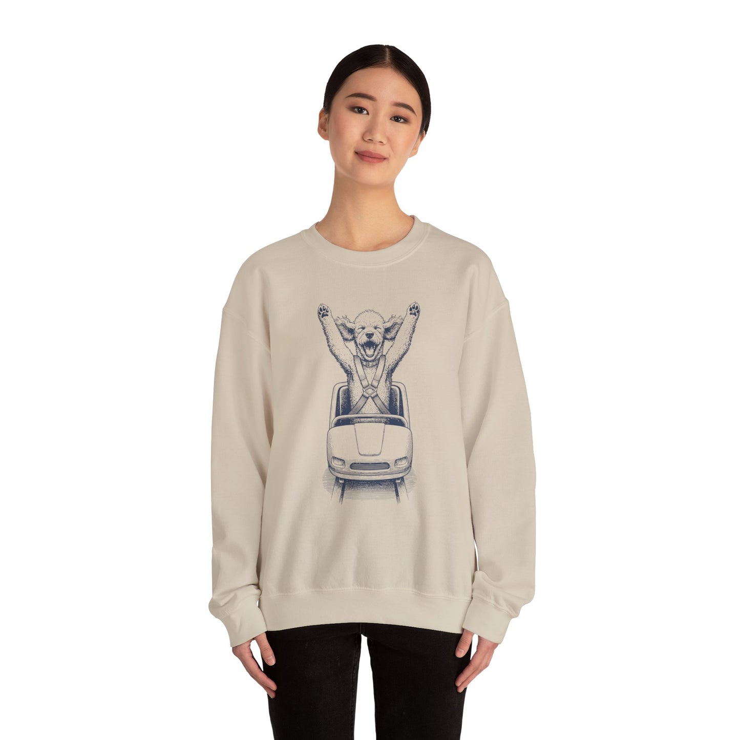 Poodle Roller Coaster Sweatshirt Taco-Dog