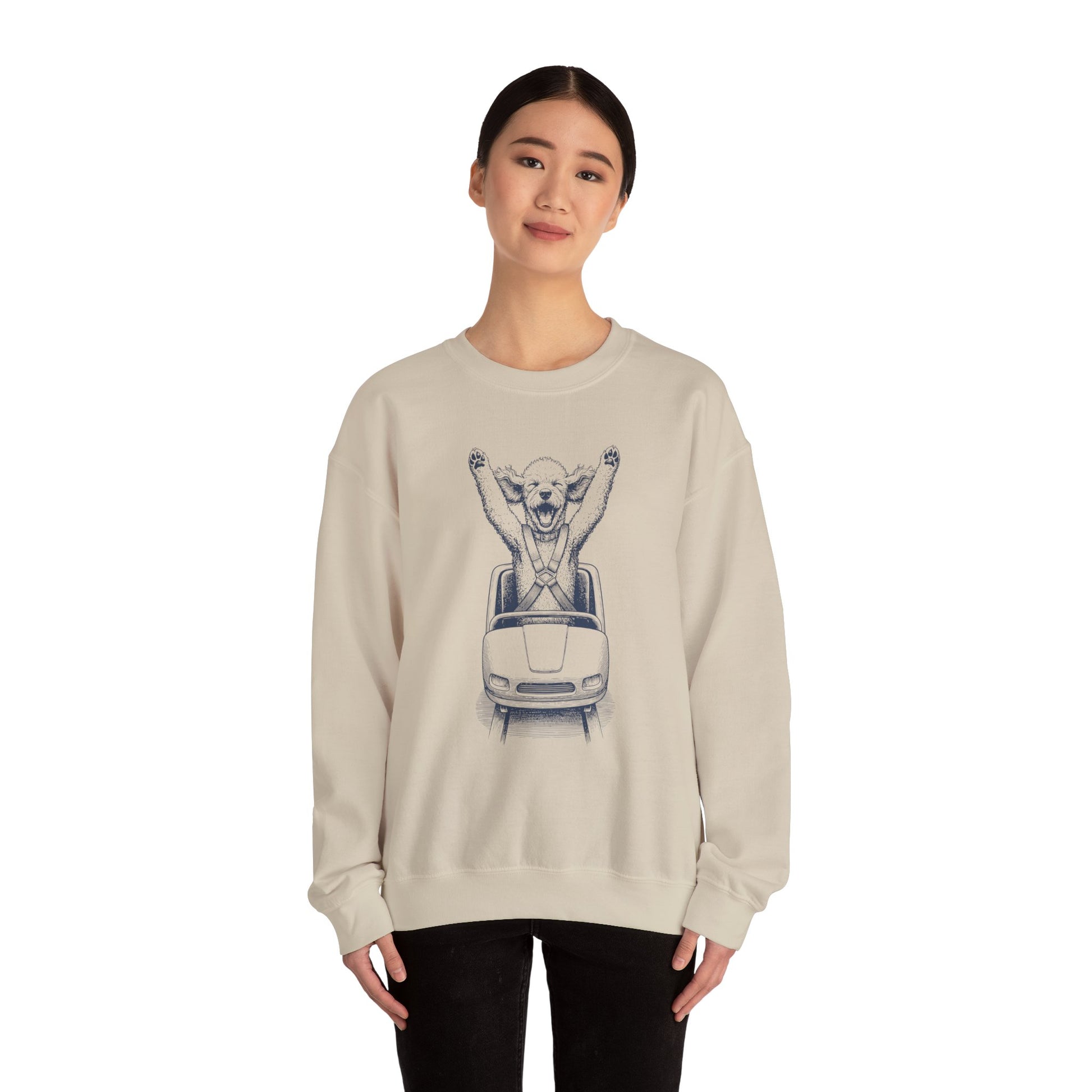 Poodle Roller Coaster Sweatshirt Taco-Dog