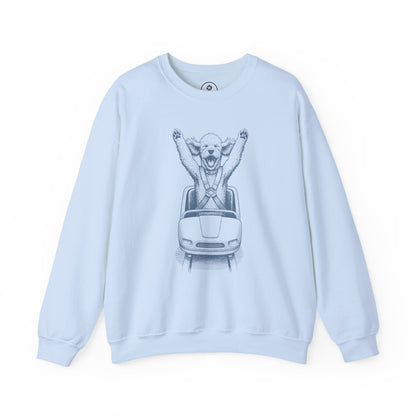 Poodle Roller Coaster Sweatshirt Light Blue Taco-Dog