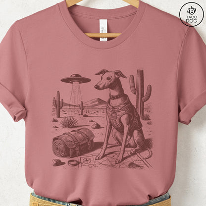Italian Greyhound Whippet Desert Survey T-Shirt