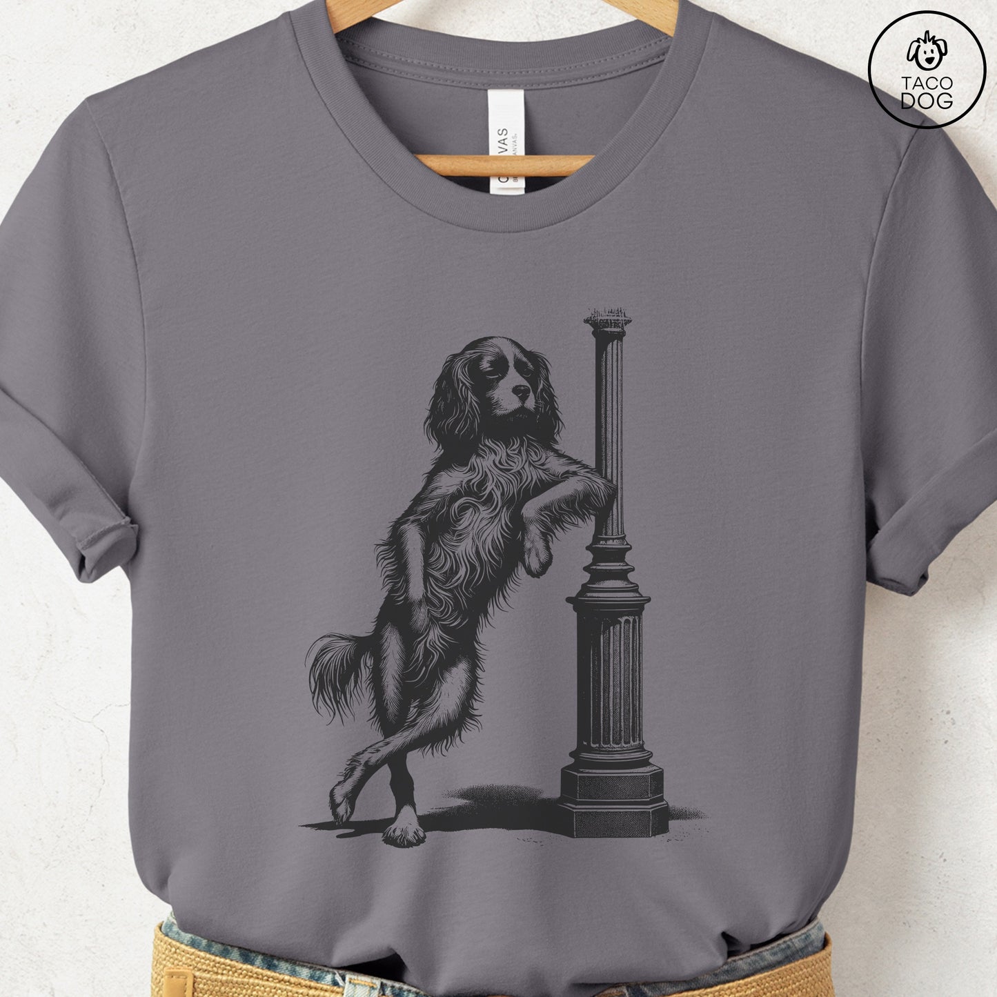 Cavalier King Charles Spaniel Lamppost Leaning T-Shirt