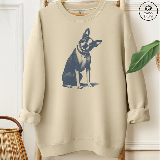 Boston Terrier Say What? Sweatshirt Sand Taco-Dog
