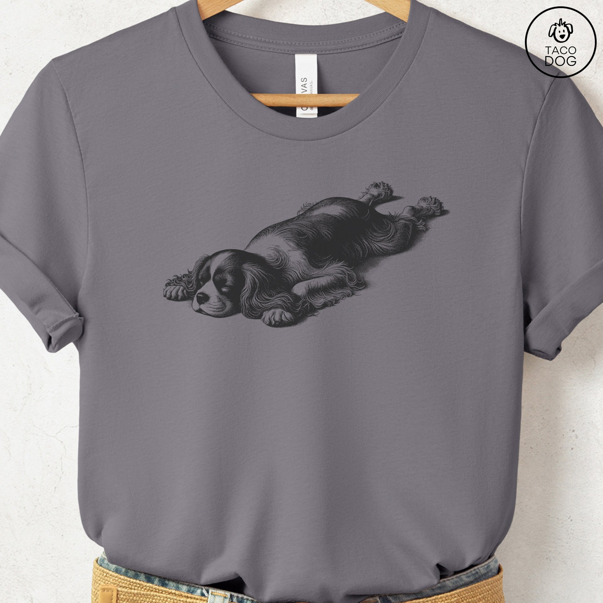Cavalier King Charles Spaniel Sploot T-Shirt Storm