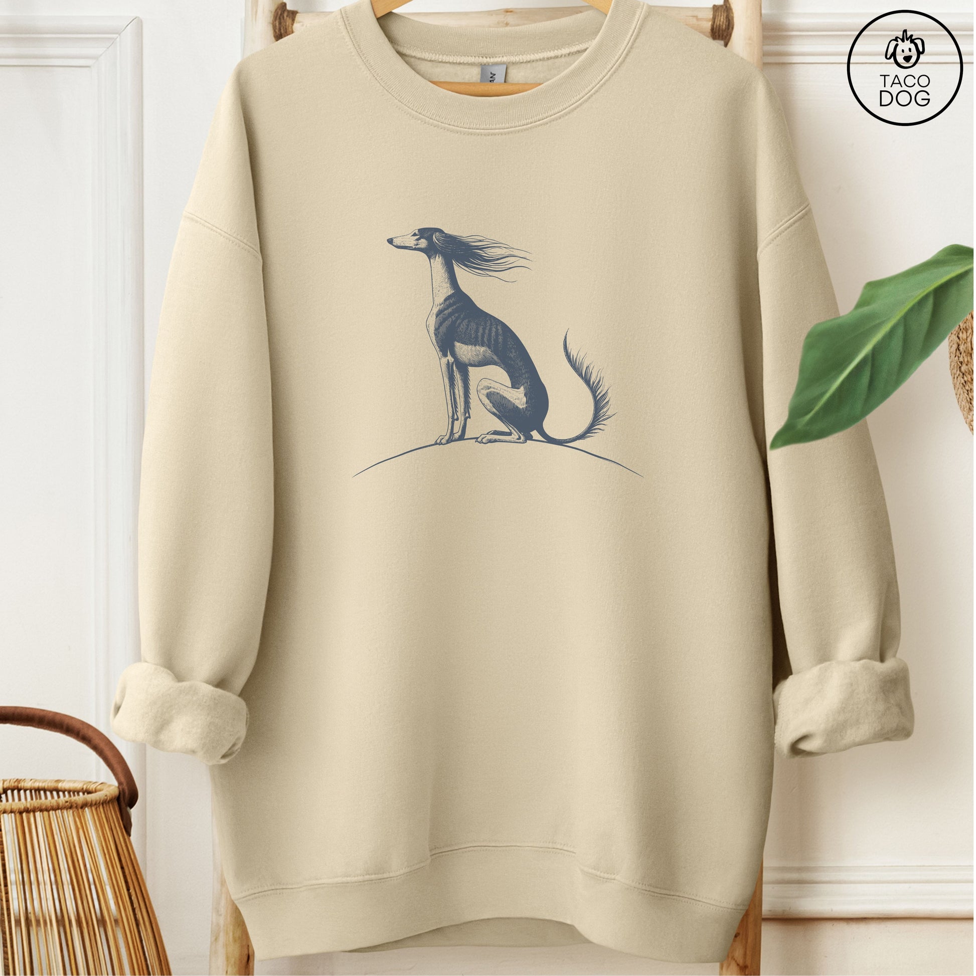 Saluki Tail Wind Sweatshirt Sand