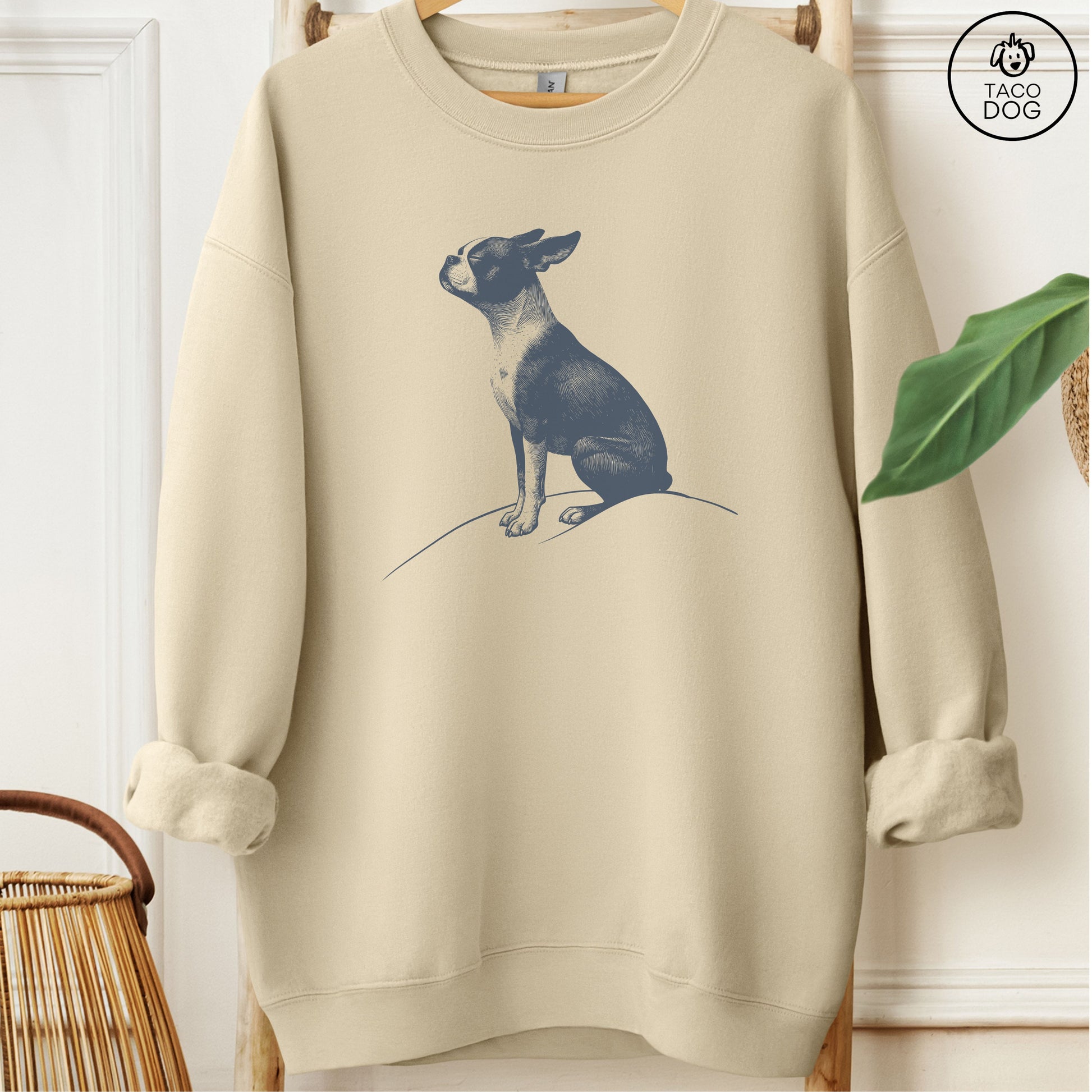 Boston Terrier Tail Wind Sweatshirt Sand Taco-Dog