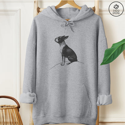 Boston Terrier Tail Wind Hoodie Graphite Heather Taco-Dog