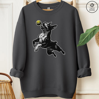 Boston Terrier Tennis Ball Sweatshirt Charcoal Taco-Dog