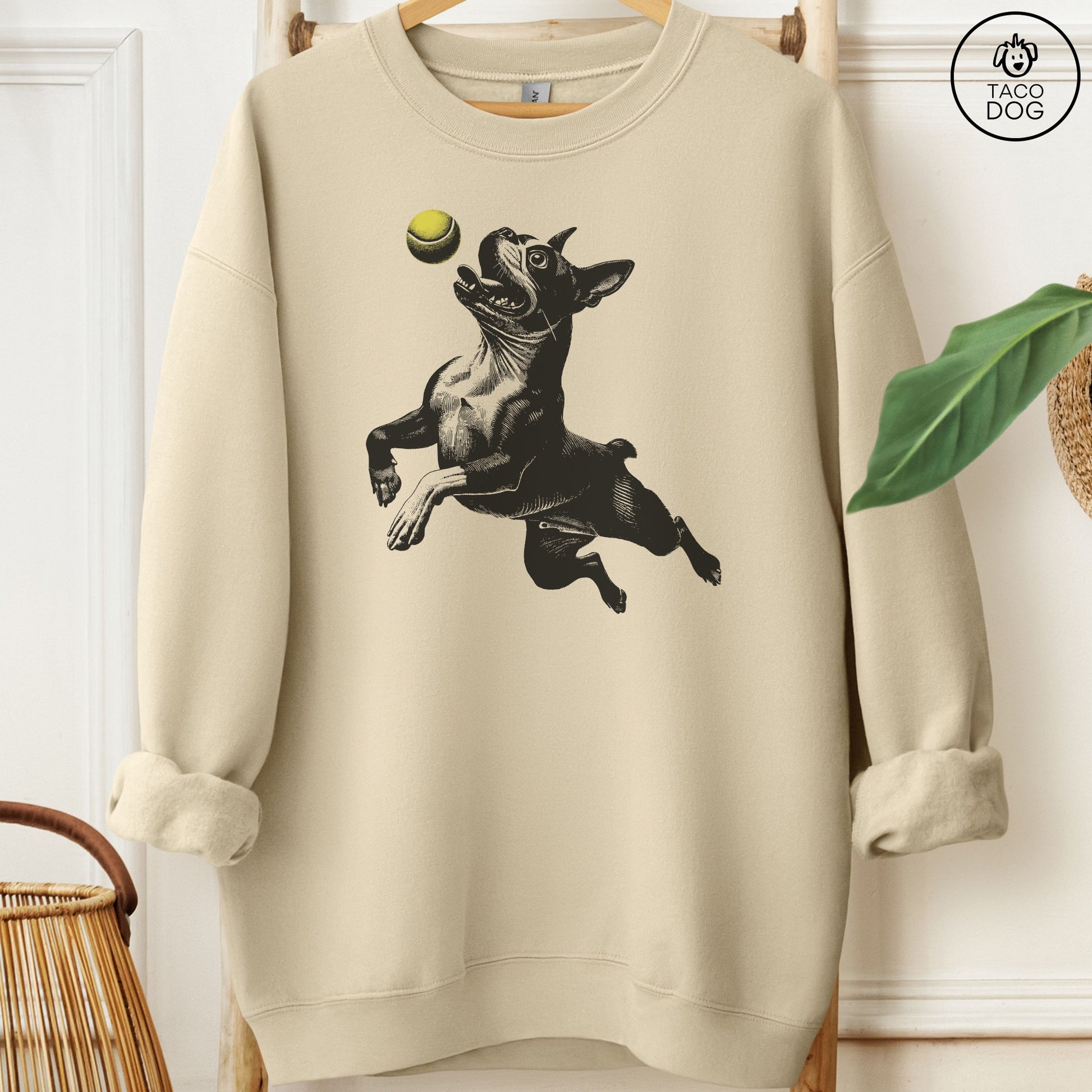 Boston Terrier Tennis Ball Sweatshirt Sand Taco-Dog