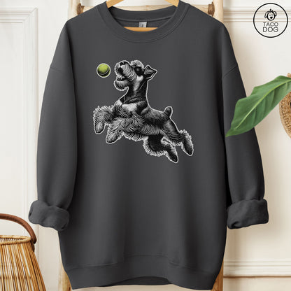 Schnauzer Tennis Ball Sweatshirt Charcoal Taco-Dog