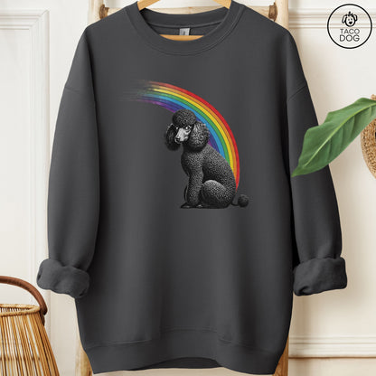 Poodle Rainbow Sweatshirt Charcoal