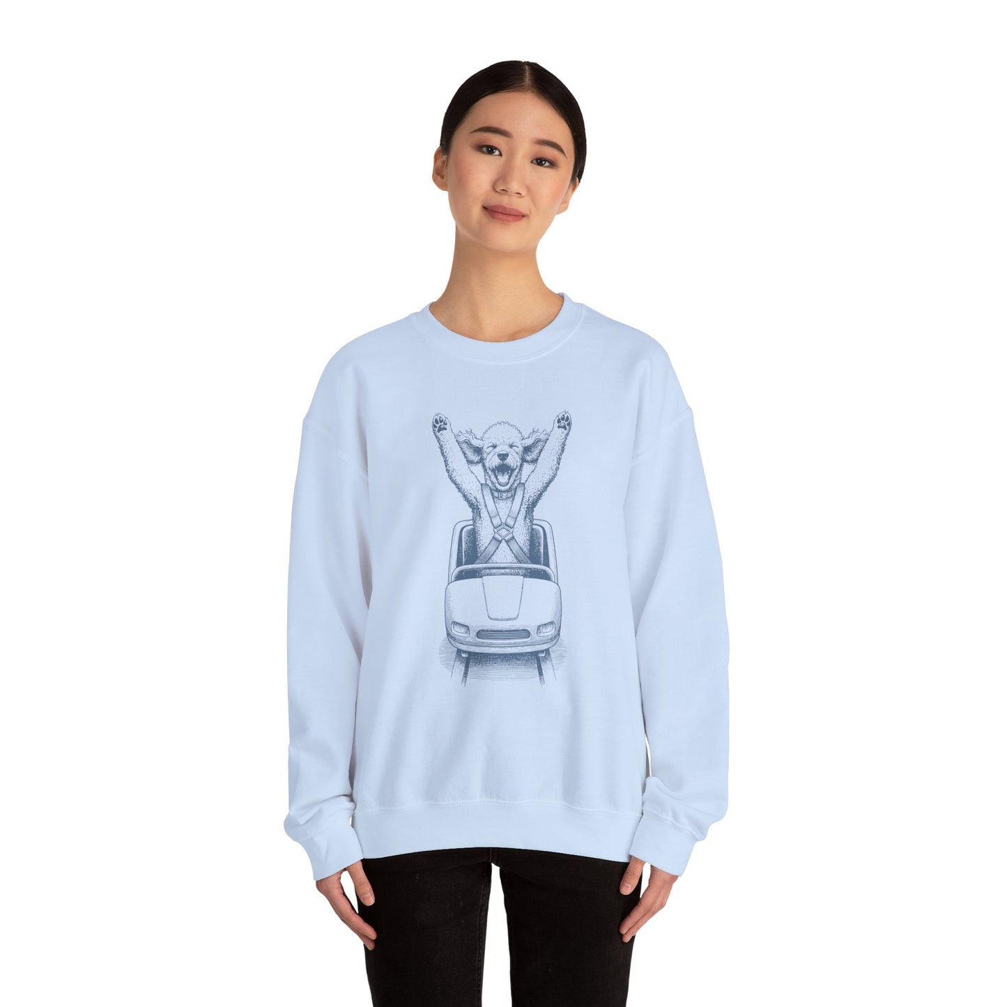 Poodle Roller Coaster Sweatshirt Taco-Dog