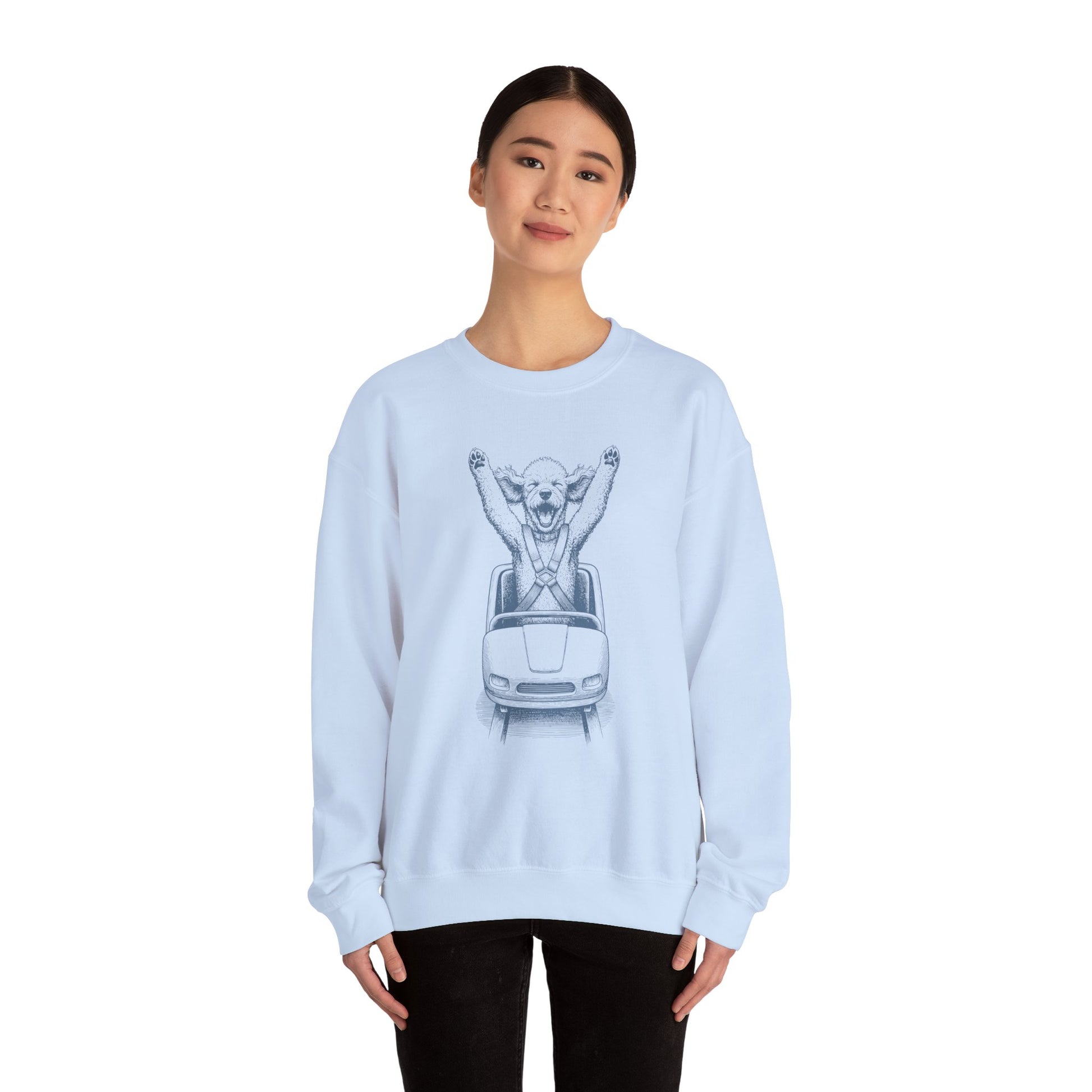 Poodle Roller Coaster Sweatshirt Taco-Dog
