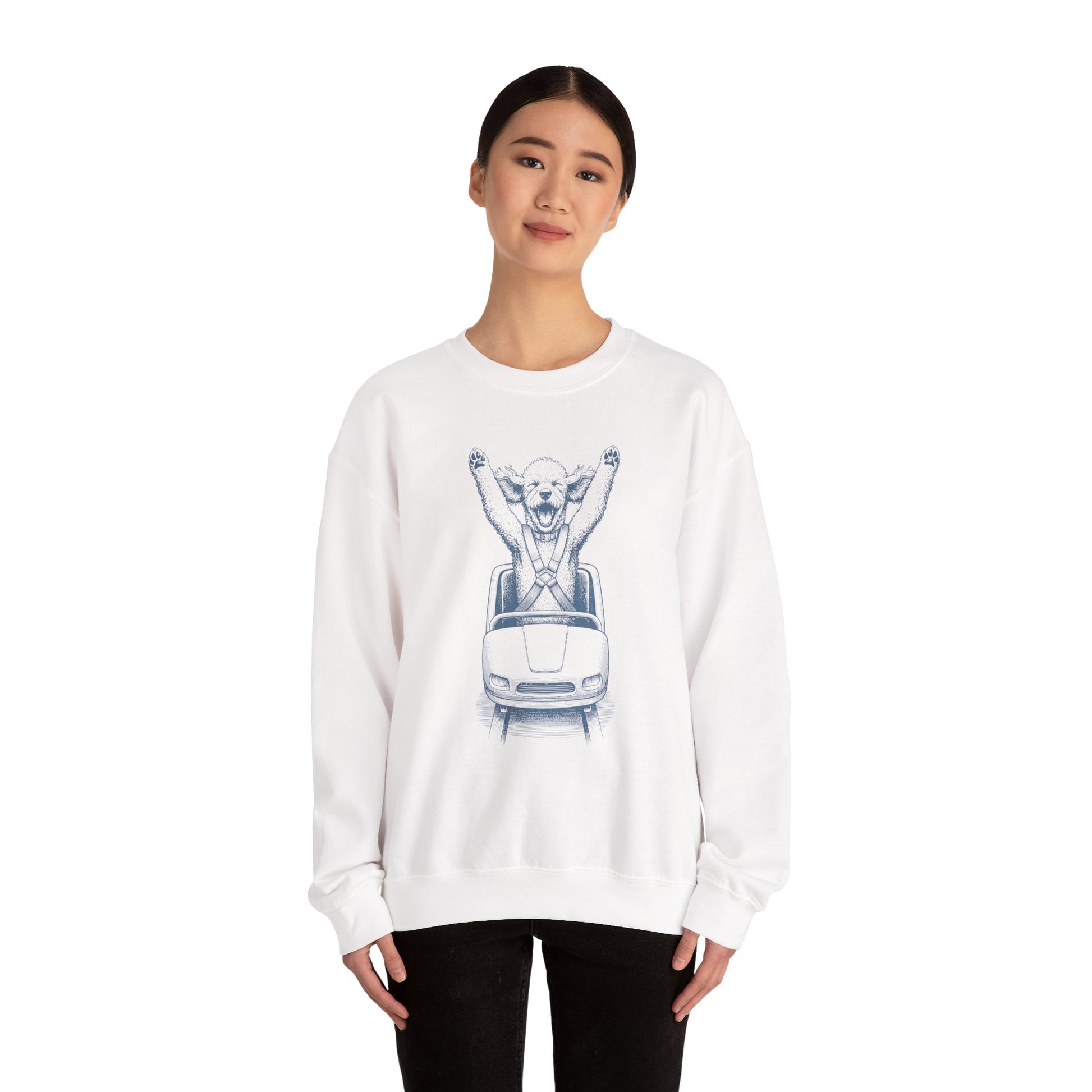 Poodle Roller Coaster Sweatshirt Taco-Dog