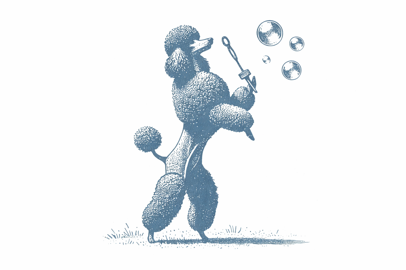 TacoDog Hero Section 02