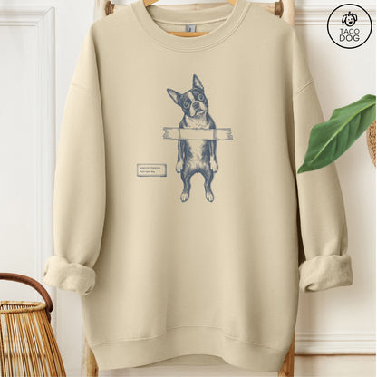 Boston Terrier Taped Sweatshirt
