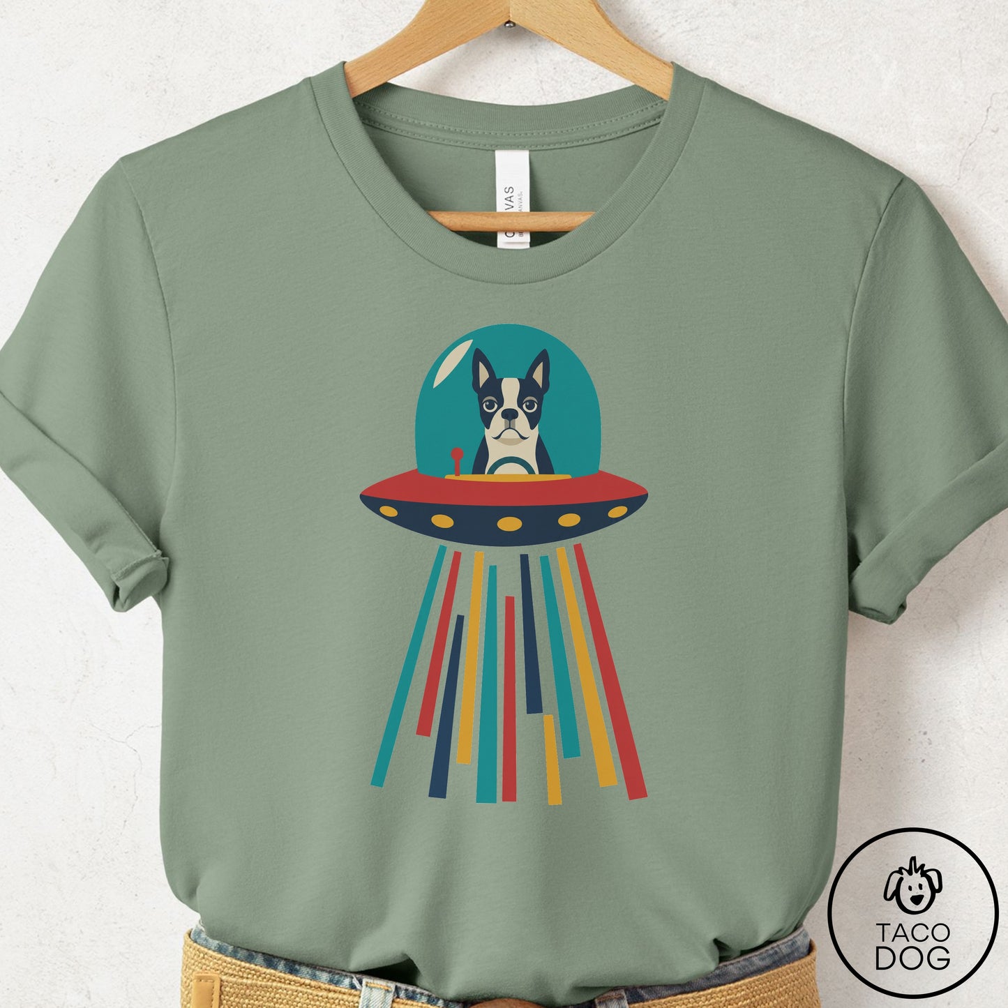 Boston Terrier UFO Joyride T-Shirt Sage Taco-Dog