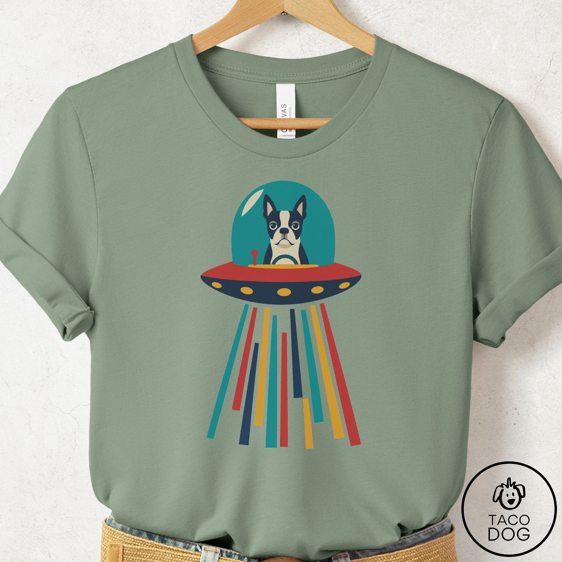 Boston Terrier UFO Joyride T-Shirt Sage Taco-Dog