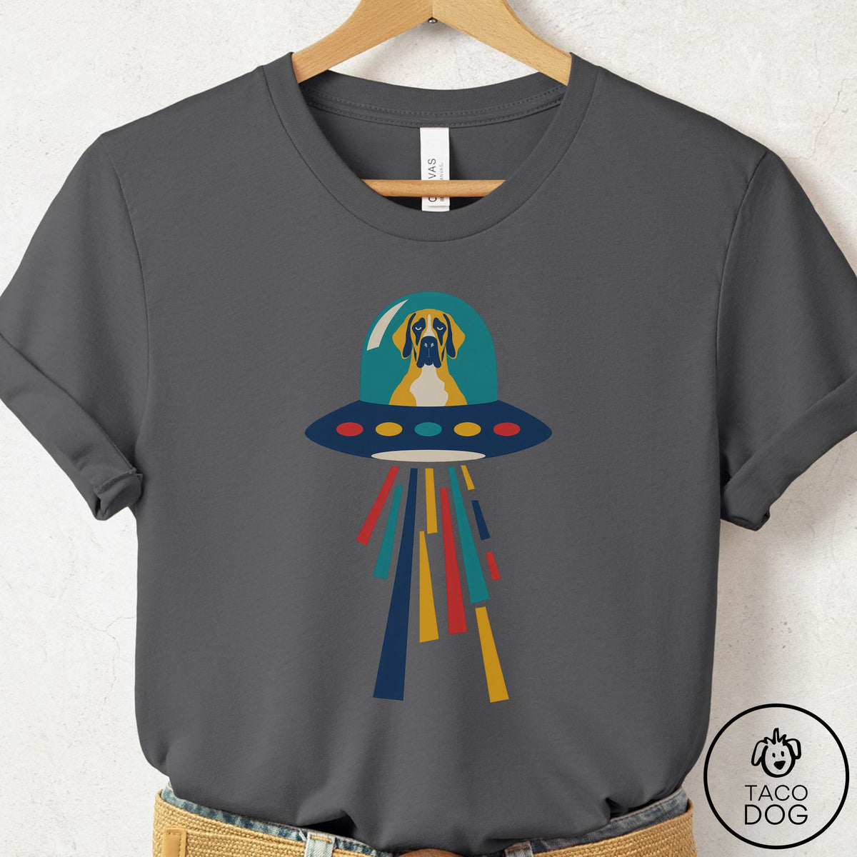 Great Dane UFO Joyride T-Shirt Asphalt Taco-Dog
