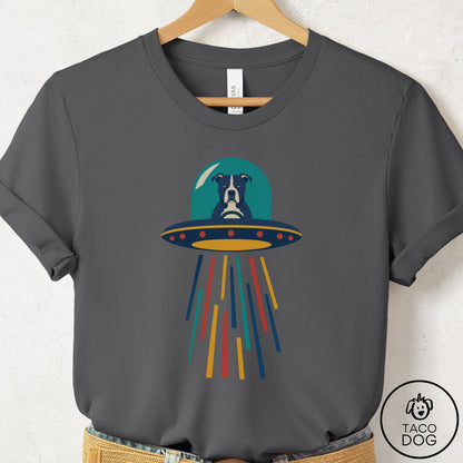 Pitbull UFO Joyride T-Shirt Asphalt Taco-Dog