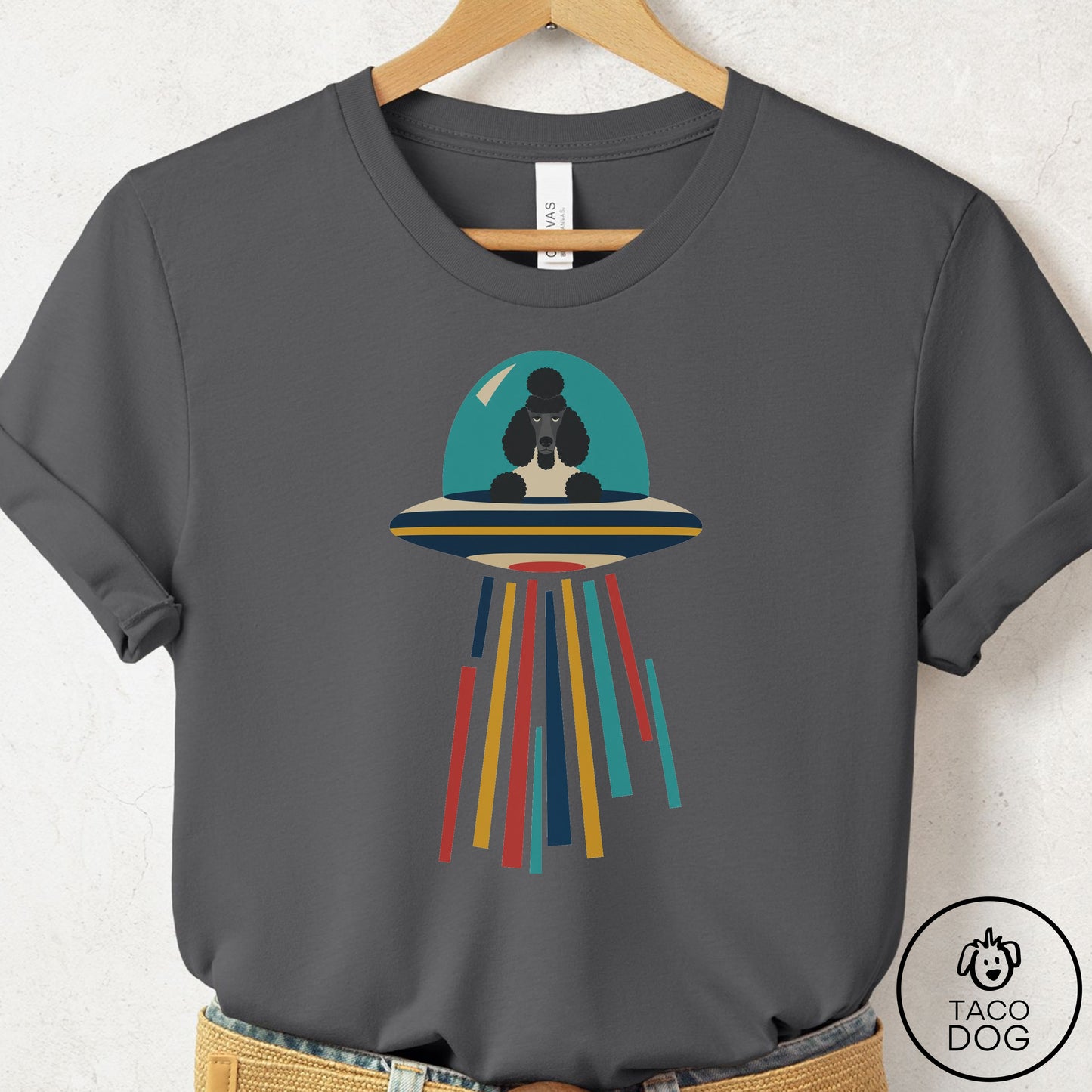 Poodle UFO Joyride T-Shirt Asphalt Taco-Dog