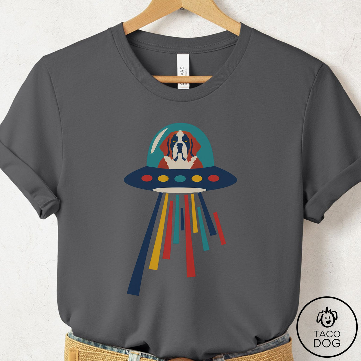 Saint Bernard UFO Joyride T-Shirt Asphalt Taco-Dog