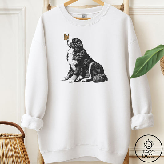 Bernese Mountain Dog Butterfly Sweatshirt White Taco-Dog