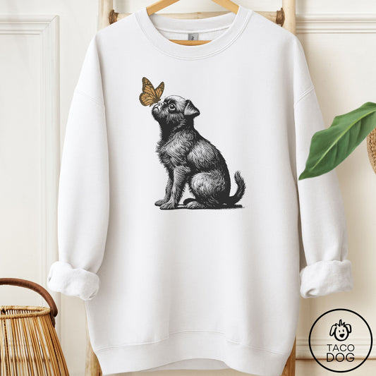 Brussels Griffon Butterfly Sweatshirt White Taco-Dog