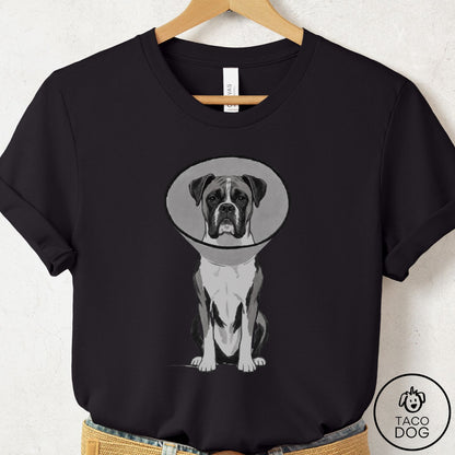 Boxer Cone T-Shirt