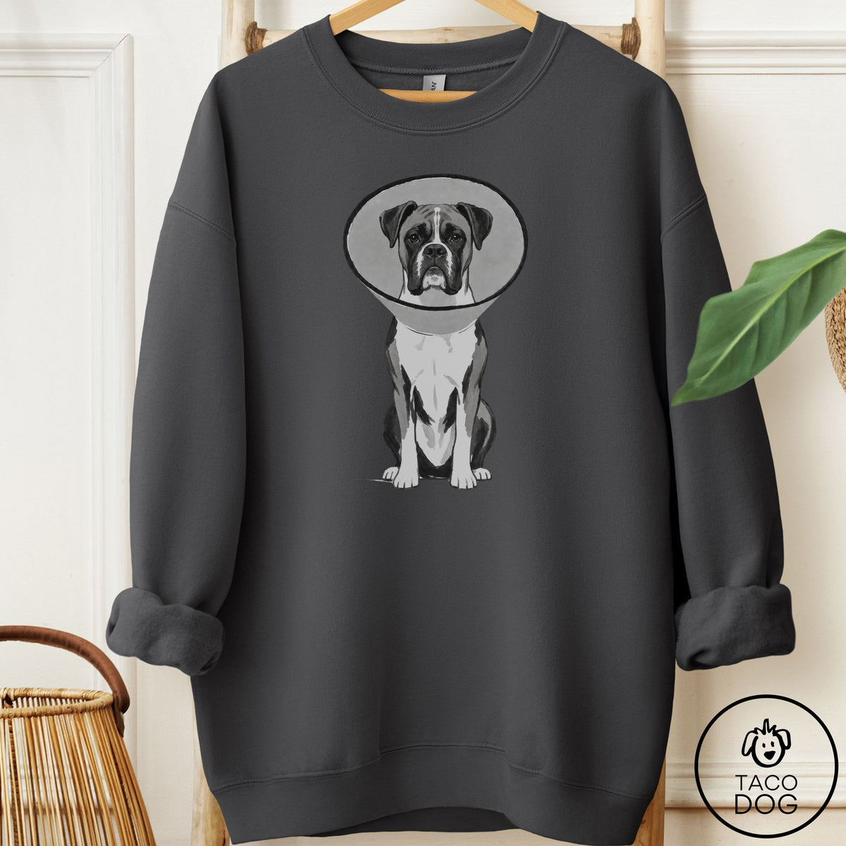 Boxer Cone Sweatshirt