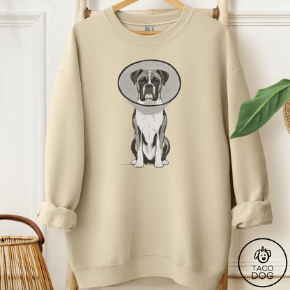 Boxer Cone Sweatshirt