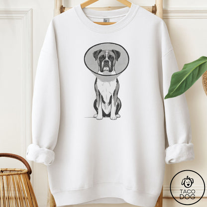 Boxer Cone Sweatshirt