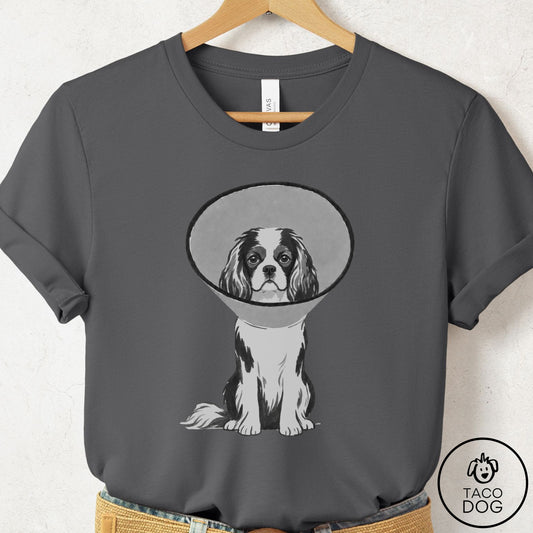 Cavalier King Charles Spaniel Cone T-Shirt Asphalt Taco-Dog