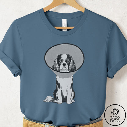 Cavalier King Charles Spaniel Cone T-Shirt Steel Blue Taco-Dog