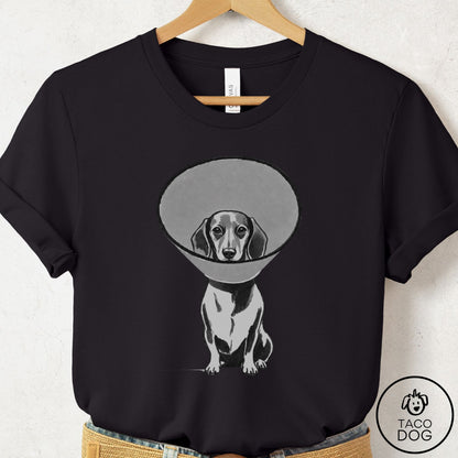 Dachshund Cone T-Shirt Black Taco-Dog