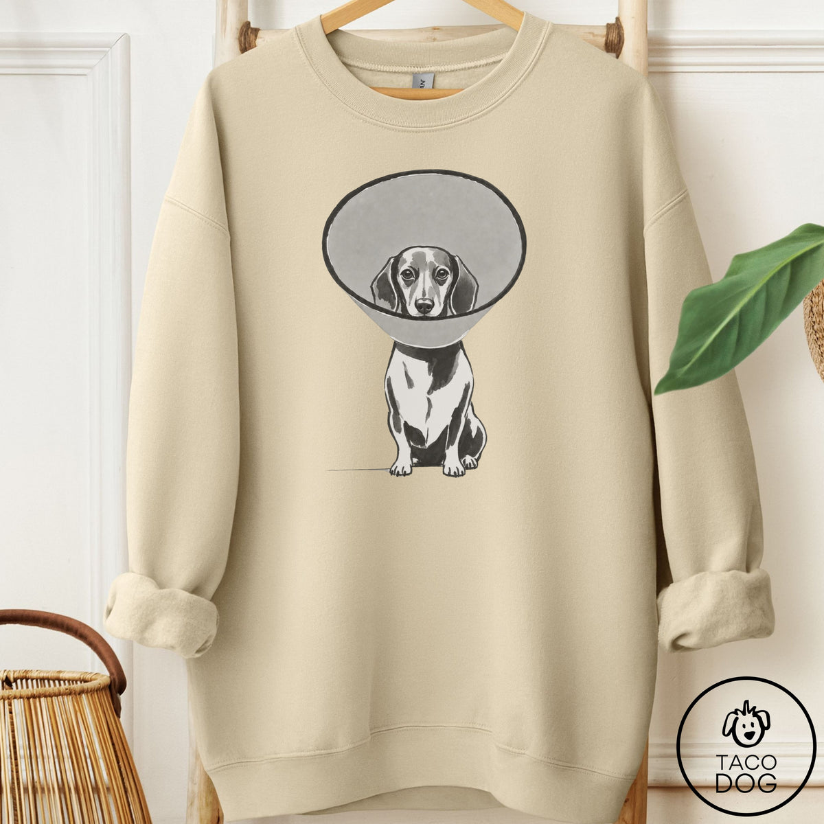 Dachshund Cone Sweatshirt Sand Taco-Dog
