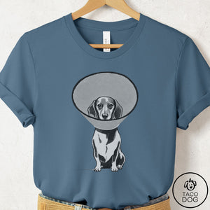 Dachshund Cone T-Shirt Steel Blue Taco-Dog