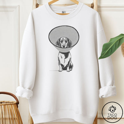 Dachshund Cone Sweatshirt White Taco-Dog