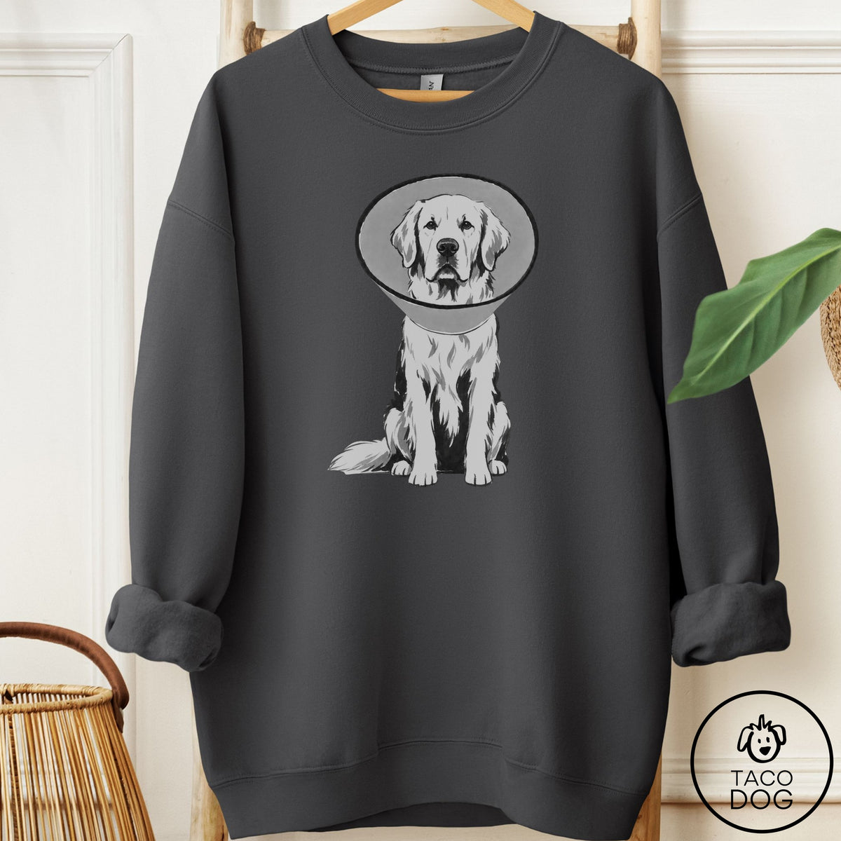 Golden Retriever Cone Sweatshirt Charcoal Taco-Dog